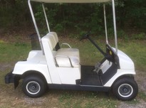 Cart 120170612 2191 yqpufr