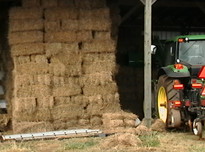 Straw20170618 11575 qnaywp