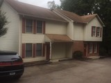 Img 1554